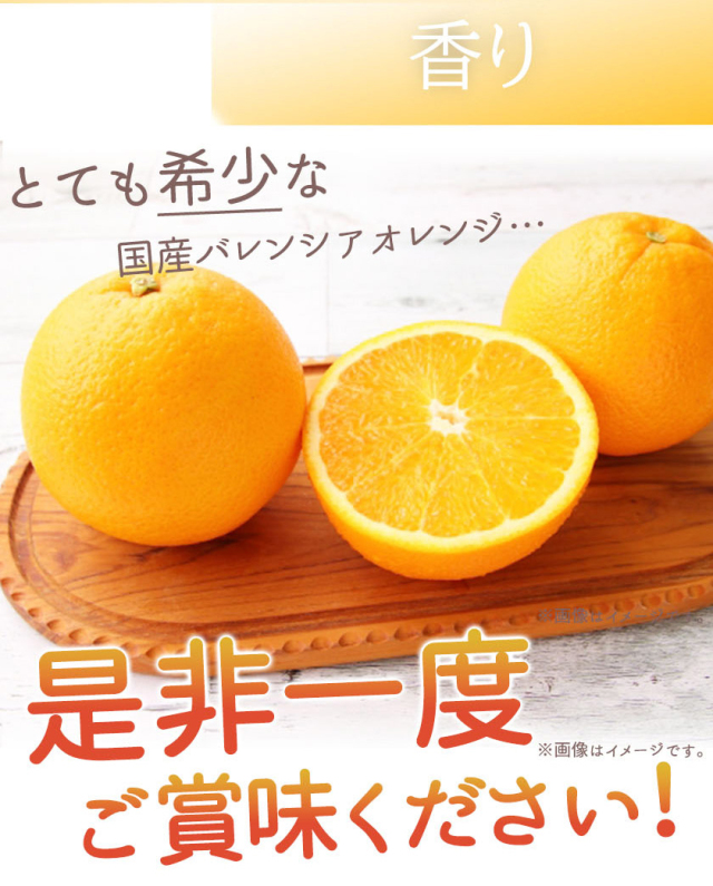 くるみぱん品 バレンシアオレンジ Lサイズ 10kg入り 夏が旬の柑橘！秀品 希少な国産バレンシアオレンジ 5kg※6月下旬以降