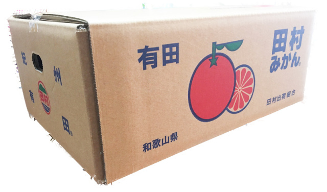 秀品　湯浅ブランド　田村みかん　５ｋｇ　【全国送料無料】