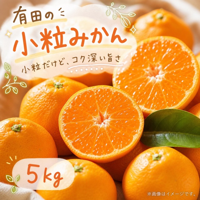 有田の小粒みかん5kg　(S-3Sサイズ混合)※11月下旬以降順次発送予定