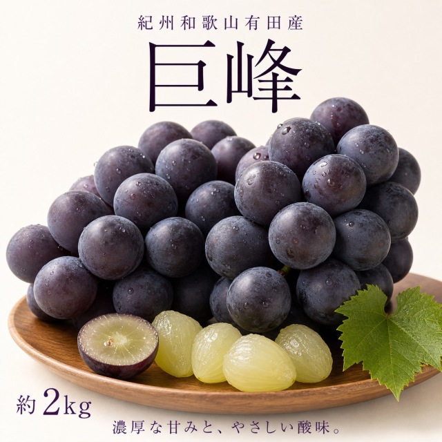 紀州有田産の巨峰たっぷり2ｋｇ※8月下旬以降順次発送予定