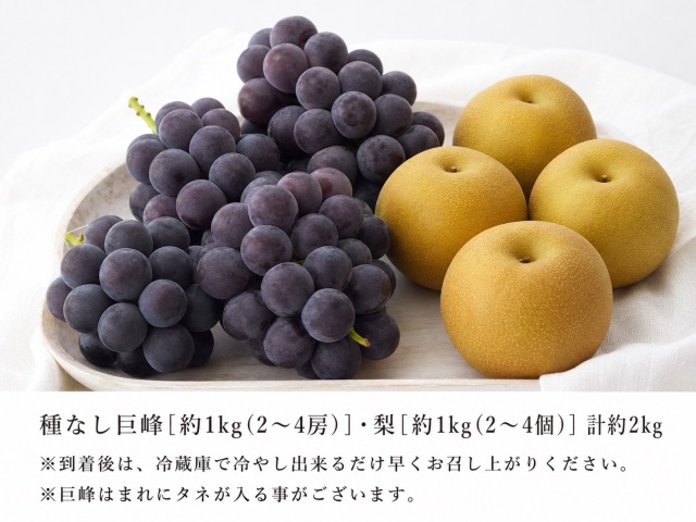 紀州有田産の種なし巨峰と梨セット計約2kg※8月下旬以降順次発送予定 魚