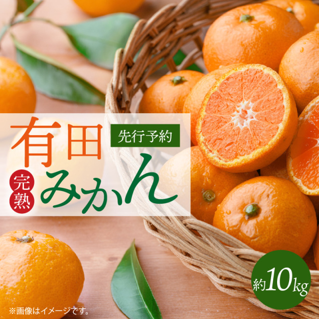 完熟 有田みかん　主に2Lサイズ　10kg【全国送料無料】※2025年11月下旬以降順次発送予定
