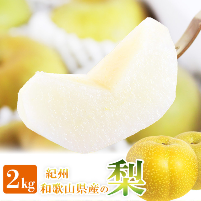 紀州和歌山産の梨　約2kg　化粧箱入　【全国送料無料】※2025年8月下旬以降順次発送予定
