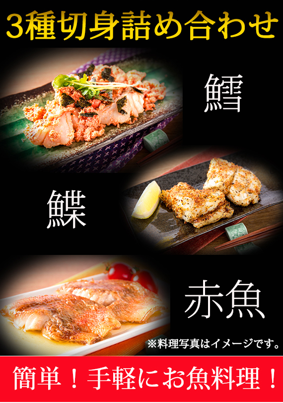 【貴重】魚介料理辞典　調理本 6巻セット 貴重】魚介料理辞典 調理本 6巻セット