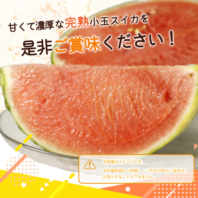 和歌山　すいか　ひとりじめ　12個　約15kg 紀州和歌山産小玉スイカ「ひとりじめ」1玉※6月上旬以降順次発送予定 魚