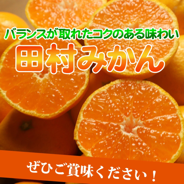 金華山みかん村ページです☆ 予約商品】【贈答用・黒籠】佐康園の頑固みかん（2Sサイズ） 1kg