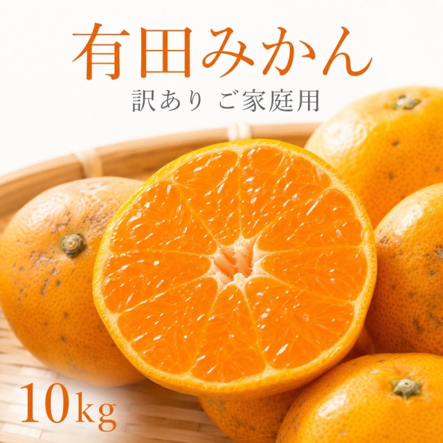 有田みかん10kg【訳ありご家庭用】2S-2Lサイズ混合※11月下旬以降順次発送予定