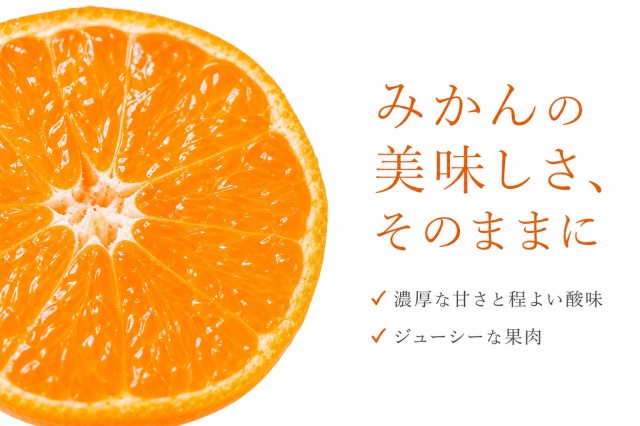 有田みかん10kg【訳ありご家庭用】2S-2Lサイズ混合※11月下旬以降順次