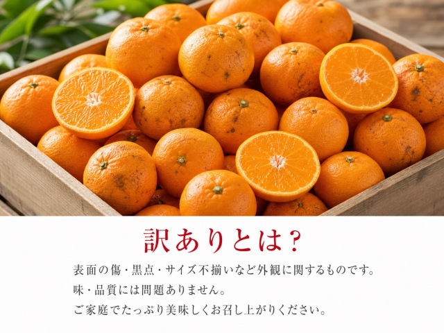 有田みかん10kg【訳ありご家庭用】2S-2Lサイズ混合※11月下旬以降順次