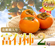 和歌山秋の味覚　富有柿　約2kg　化粧箱入　【全国送料無料】※2025年11月上旬以降順次発送予定