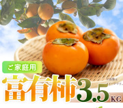【ご家庭用わけあり】和歌山秋の味覚　富有柿　約3.5kg　【全国送料無料】※2025年11月上旬以降順次発送予定