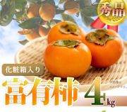 和歌山秋の味覚　富有柿　約4kg　化粧箱入　【全国送料無料】※2025年11月上旬以降順次発送予定
