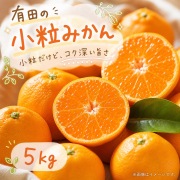 有田の小粒みかん5kg　(S-3Sサイズ混合)※11月下旬以降順次発送予定