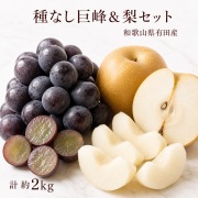紀州有田産の種なし巨峰と梨セット計約2kg※8月下旬以降順次発送予定