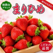 和歌山県オリジナルいちご　「まりひめ」　約280ｇ×2Ｐ※1月上旬以降順次発送予定