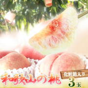 紀州和歌山産の桃　３球　化粧箱入　【送料無料※北海道・沖縄は除く】※2025年6月下旬以降順次発送予定