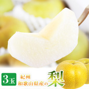 紀州和歌山産の梨　3玉　化粧箱入　【送料無料※北海道・沖縄は除く】※2025年8月下旬以降順次発送予定