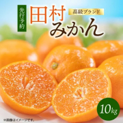 高級ブランド　田村みかん　１０ｋｇ　【全国送料無料】※2025年11月下旬以降順次発送予定