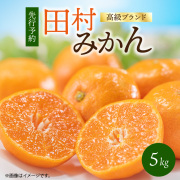 高級ブランド　田村みかん　５ｋｇ　【全国送料無料】※2025年11月下旬以降順次発送予定