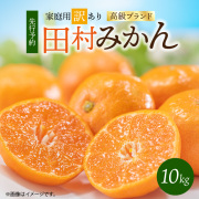 【ご家庭用訳あり】　田村みかん　１０ｋｇ　【全国送料無料】※2025年11月下旬以降順次発送予定