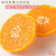 【ご家庭用訳アリ】紀州有田産濃厚完熟温州みかん　5kg　【送料無料※北海道・沖縄は除く】※2025年11月下旬以降順次発送予定