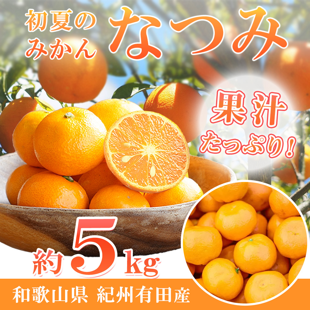 みかん農家も唸る美味しさ！初夏のみかん なつみ ５ｋｇ 【全国送料無料】※2025年4月中旬以降順次発送予定