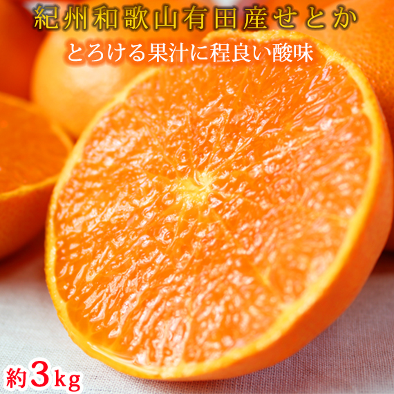 とろける食感!ジューシー柑橘　せとか　約３ｋｇ 　【全国送料無料】※2026年3月上旬以降順次発送予定