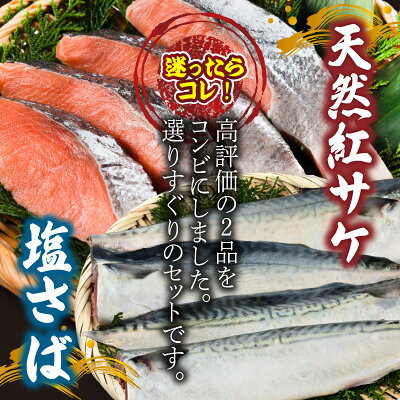 迷ったらコレ!!魚鶴商店の天然紅サケ1kg & 塩さばフィレ6枚セット 【全国送料無料】　