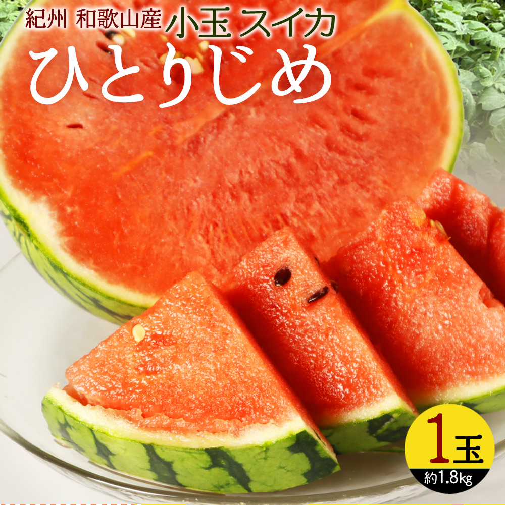 紀州和歌山産小玉スイカ「ひとりじめ」1玉　【送料無料※北海道・沖縄は除く】※2025年6月上旬以降順次発送予定