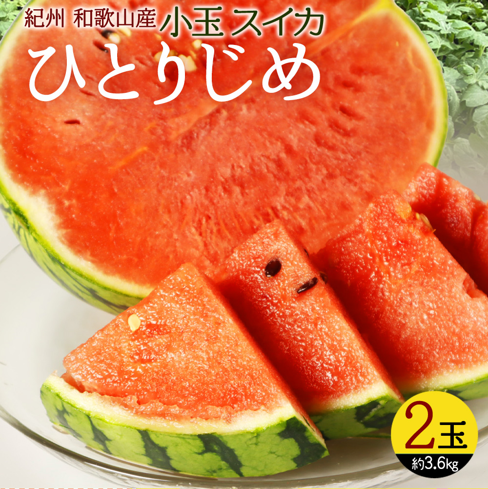 紀州和歌山産小玉スイカ「ひとりじめ」2玉　【全国送料無料】※2025年6月上旬以降順次発送予定
