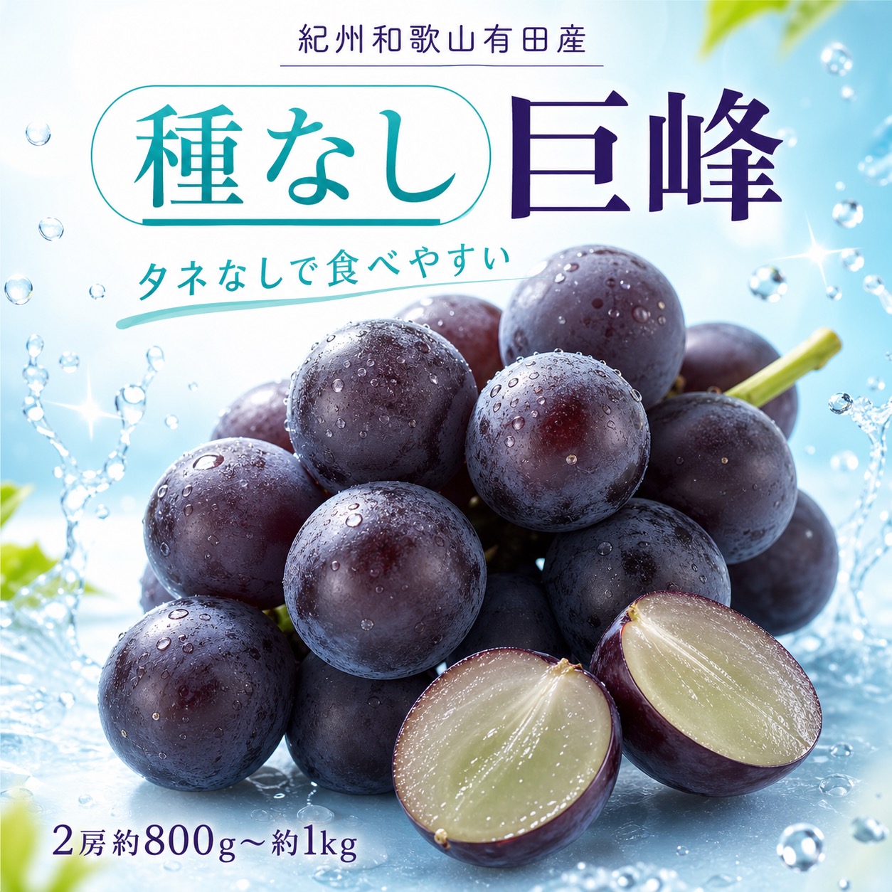 紀州有田産の種なし巨峰ぶどう2房(約800g～1kg)※8月下旬以降順次発送予定