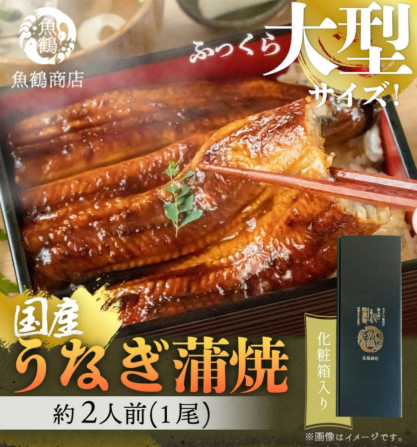 大型サイズ　ふっくら柔らか国産うなぎ蒲焼き　約2人前　化粧箱入【全国送料無料】