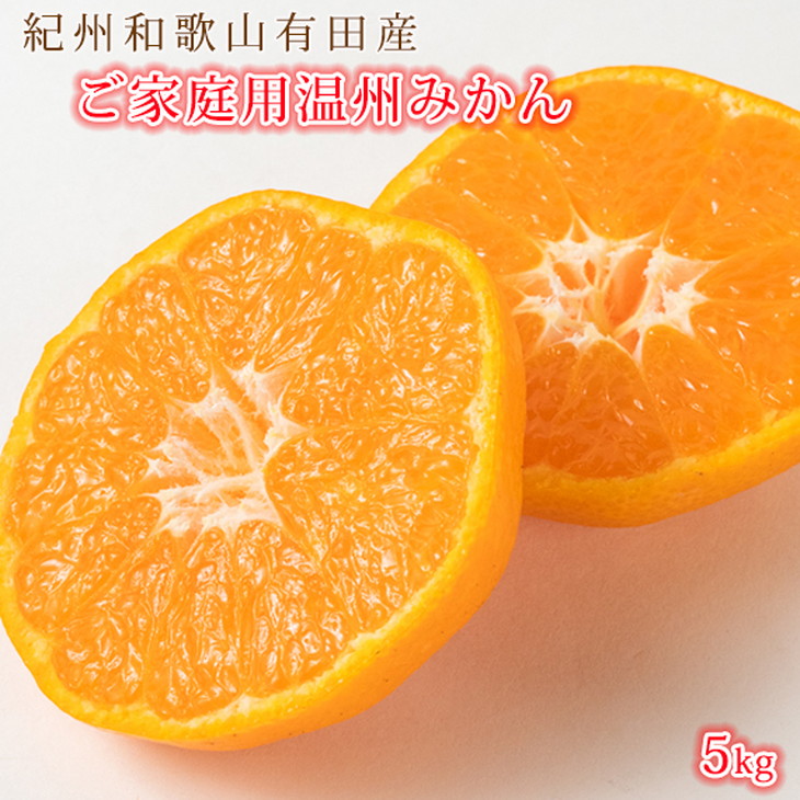 【ご家庭用訳アリ】紀州有田産濃厚完熟温州みかん　5kg　【送料無料※北海道・沖縄は除く】※2025年11月下旬以降順次発送予定