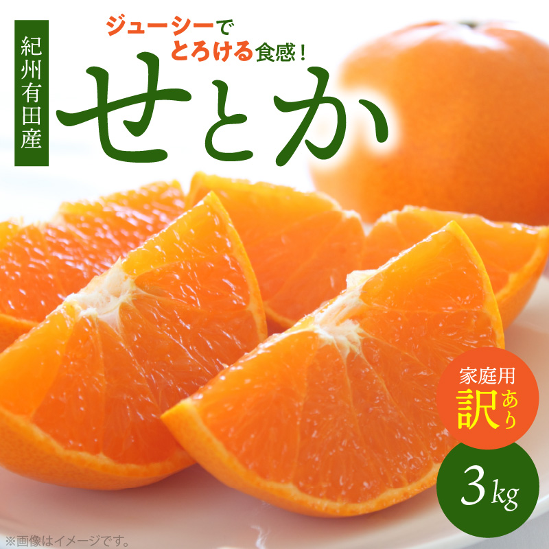 【ご家庭用訳あり】とろける食感!ジューシー柑橘　せとか　約３ｋｇ 　【送料無料※北海道・沖縄は除く】※2026年3月上旬以降順次発送予定