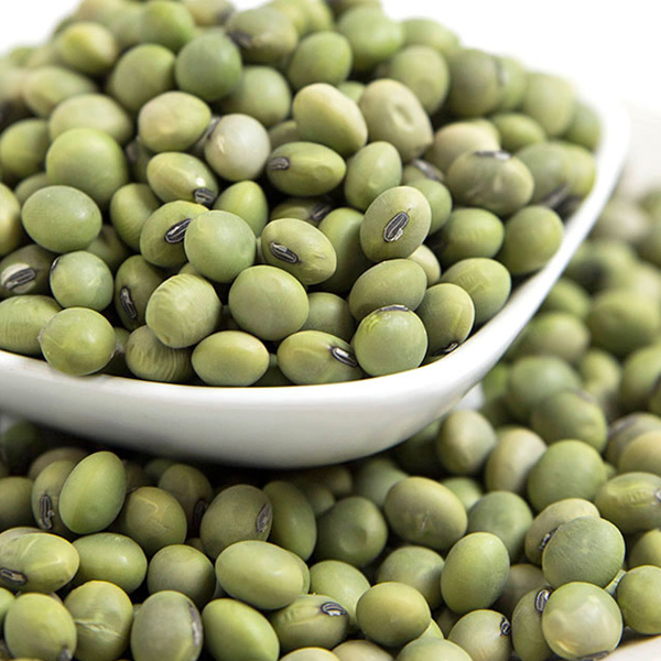 ひたし豆（青大豆）