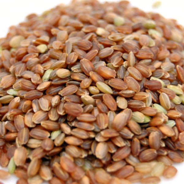 業務用 国産 赤米 500g