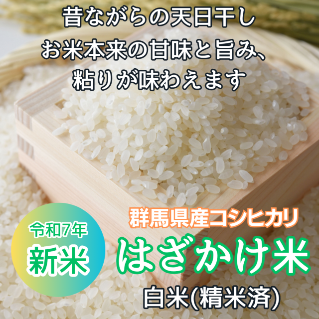 群馬県産 コシヒカリ R6年産 新米 25キロ 玄米 送料込 楽天市場】群馬県産 玄米の通販