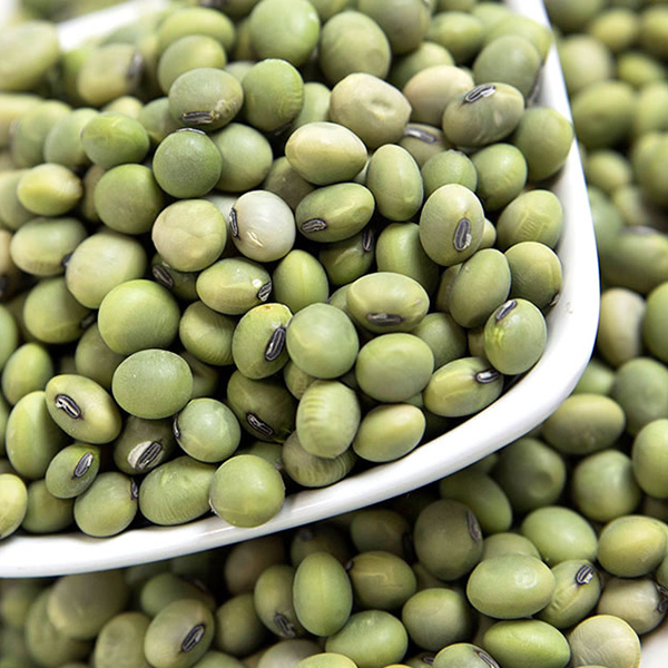 ひたし豆（青大豆）