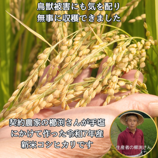 群馬県産　玄米30キロ　（精米可） 楽天市場】玄米 30kg（産地（都道府県）群馬）の通販