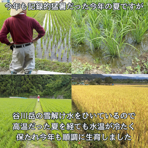 令和7年 新米はざかけ米 群馬県産コシヒカリ 群馬のうまいもん