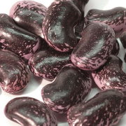 群馬県産 紫花豆