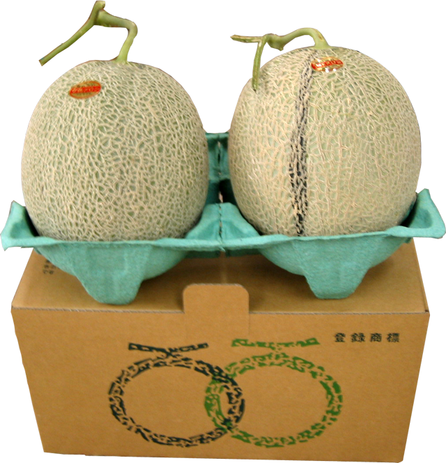 【E-1】　夕張メロン　個撰　大玉2玉(1玉約1.6kg)合計約3.2kg