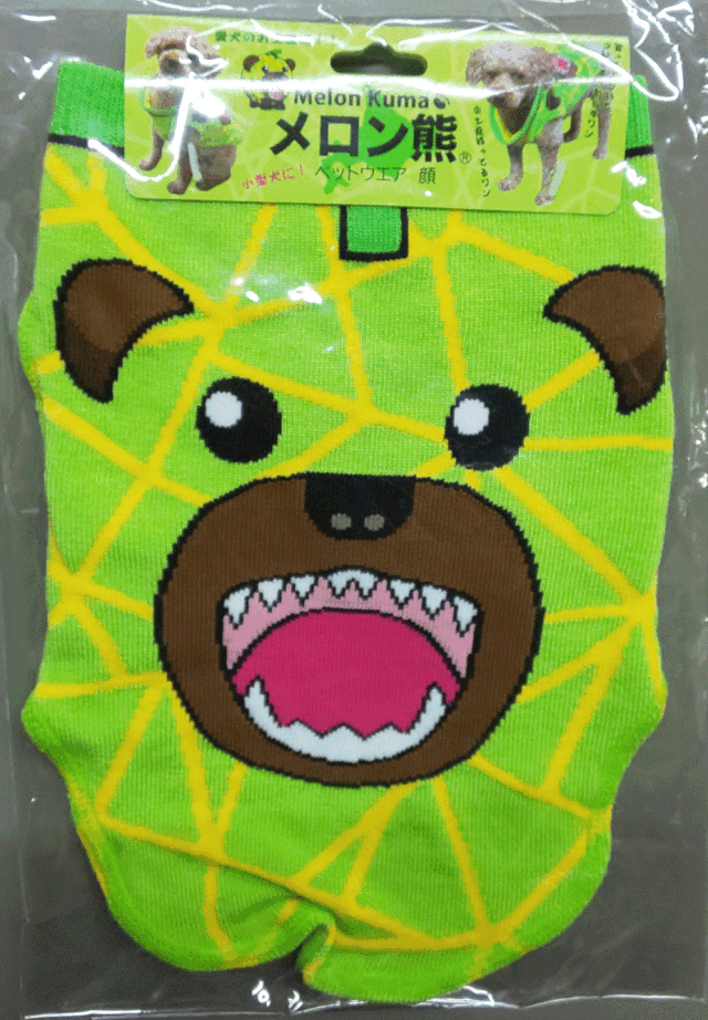メロン熊　ペットウェア　顔