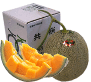 【A-5】　夕張メロン　特大大玉1玉(約2kg)