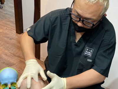 プロフェッショナルセミナー／Professional Seminar