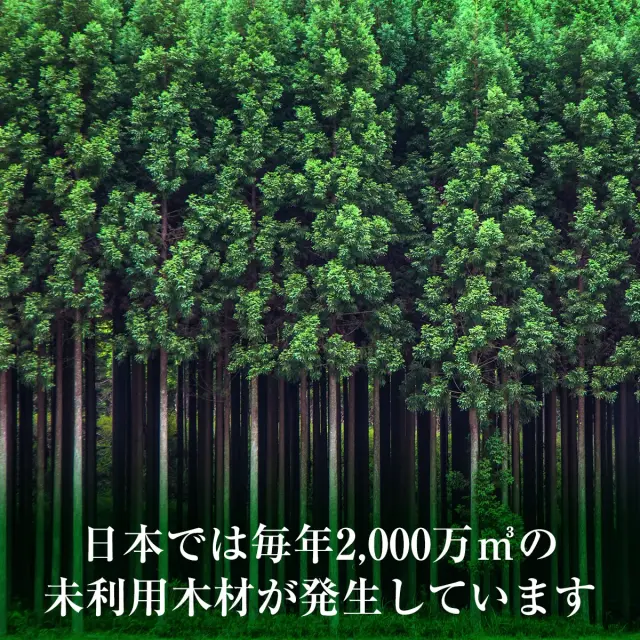 日本では毎年2000万㎥の未利用木材が発生しています
