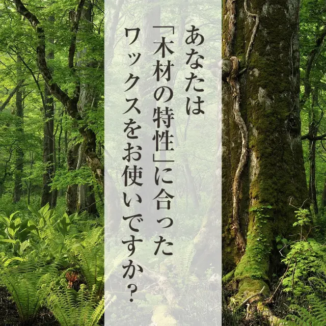 あなたは 木材の特性 に合ったワックスをお使いですか