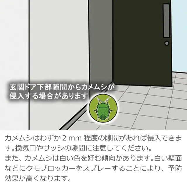 玄関ドアやサッシ 換気口の隙間から侵入するカメムシ対策に 白い壁面へのスプレーで効果的に予防
