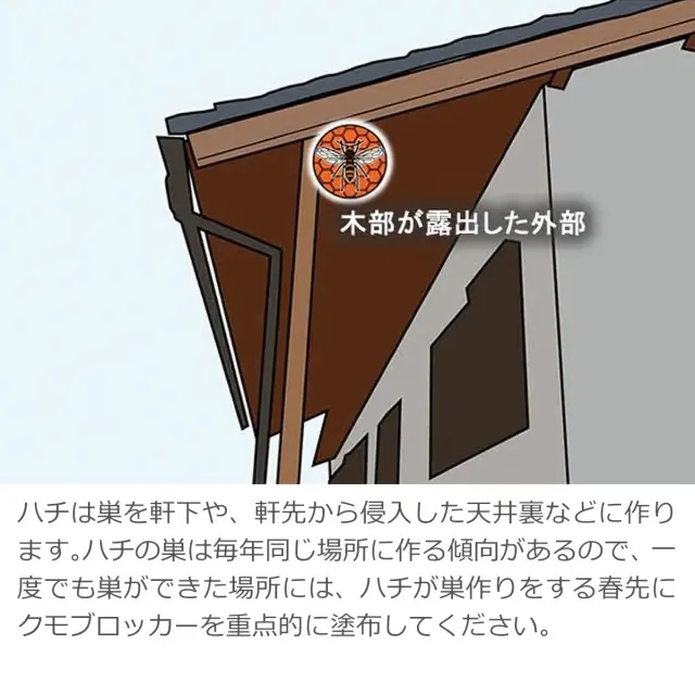 軒下や天井裏のハチの巣作り予防に 一度作られた場所へ春先に重点塗布してハチを対策