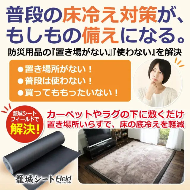 ラグやカーペットの下に敷いて床冷え対策に使える籠城シート フィールド